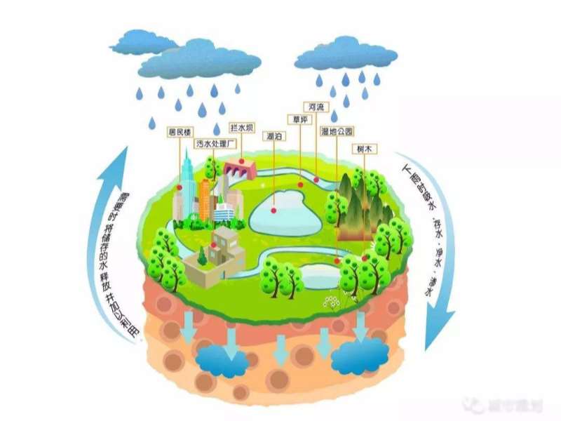 保定市召開2019第四屆中國海綿